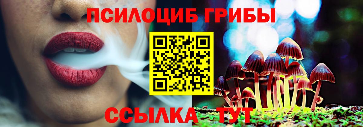 Псилоцибиновые грибы Cubensis Омск